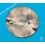 ROLEX RARE SUBMARINER DATE MAT FADED WATCH DIAL PART 16808, 16803, 16613, 16618 CAL 3035, 3135