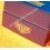 HEUER RARE VINTAGE WATCH BOX BLUE PLASTIC GOLD DETAILING Monaco, Autavia, Carrera, Silverstone
