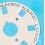 Rolex Rare French White color Day Disc 3055, 5055 Part President Day Date watches 18026, 18028, 18029, 18039, 118209