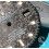 ROLEX GENUINE EXOTIC TROPICAL 16660, 16600 WATCH PART BLACK GLOSSY DIAL SEA-DWELLER CAL 3035, 3135 MOVEMENT TRITIUM T25