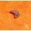 Rolex NOS Authentic 1530 Caliber Setting Lever - Part 1530-7881 Cal 1520, 1530, 1570 & 1560